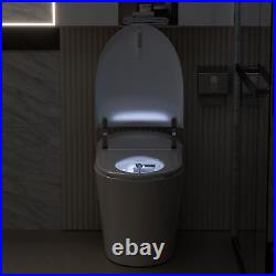 Heated Seat Auto-flush One Piece Smart Toilet Bidet Warm Water Dryer Pre-Wet